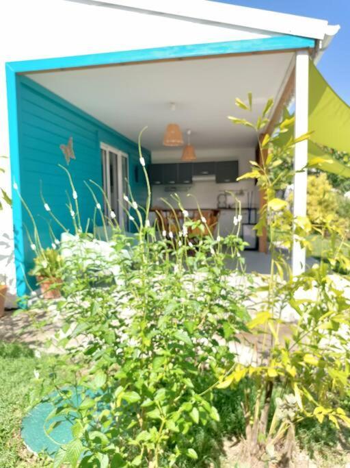 Tukusi Bungalow Le Moule Extérieur photo